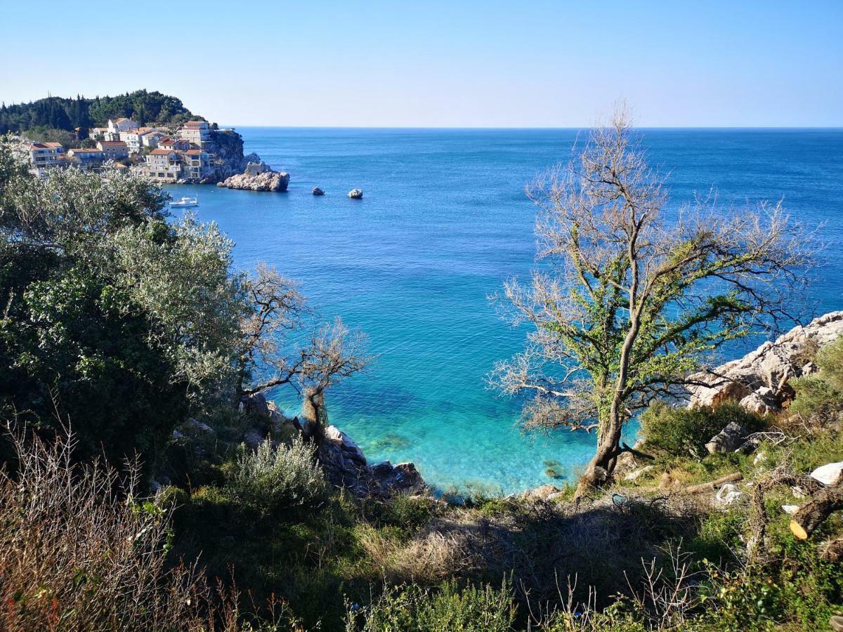 Langust - Free Parking Appartement Sveti Stefan Buitenkant foto
